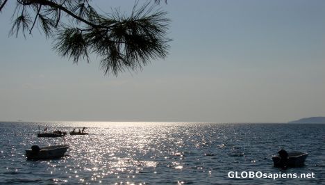 Postcard fishing under the sun