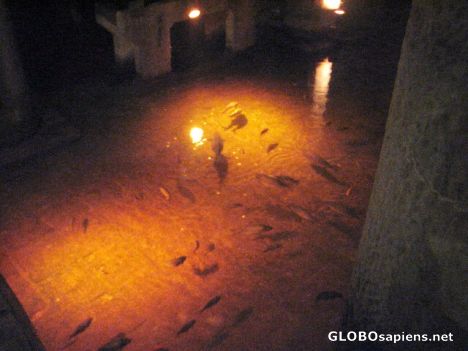 Postcard Yerebatan Cistern