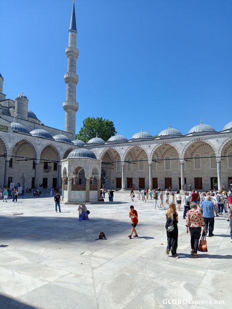 Postcard Courtyard
