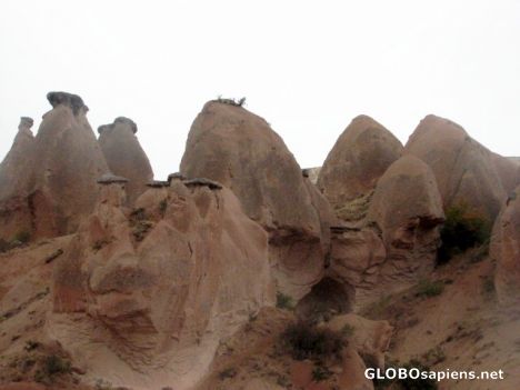 Postcard Goreme - Devrent Valley