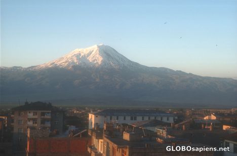 Postcard Mount Ararat