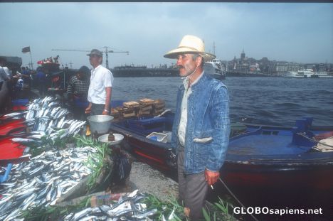 Postcard Fishmonger