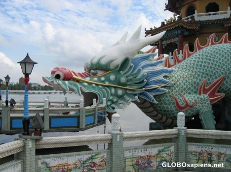 Postcard Dragon
