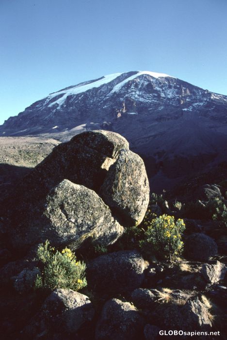 Postcard Kibo, seen from Karanga Camp