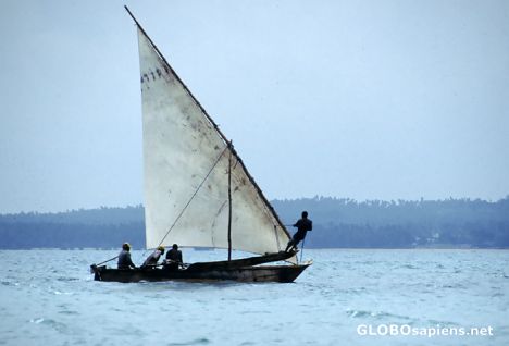 Postcard sailing