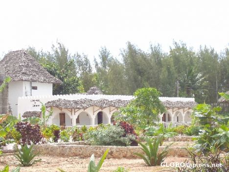 Postcard Nungwi