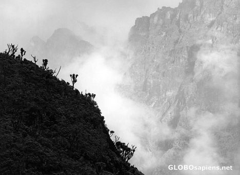 Postcard Rwenzori Mountains slopes