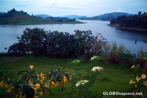 Postcard Lake Bunyonyi - flowers