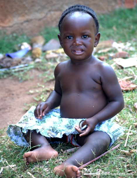 Postcard little boy