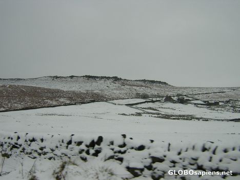 Postcard In the Snow