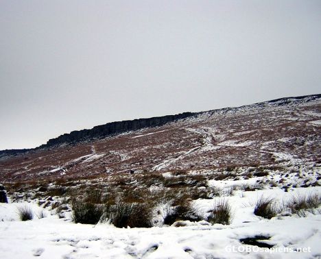 Postcard Frogat in the snow!!