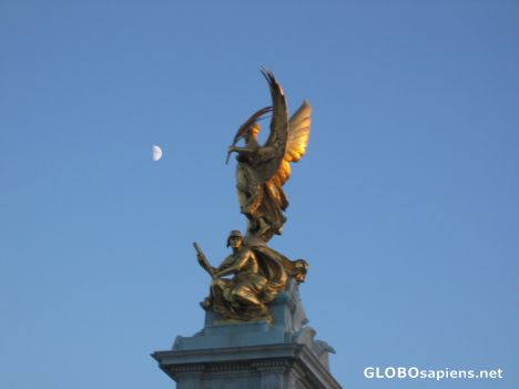 Postcard Golden wings