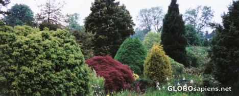 Postcard Harlow Carr Gardens 2