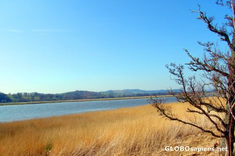 Postcard Spring in Caerlaverock Nature Reserve