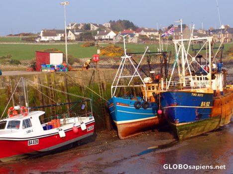 Postcard The Harbour at low tide