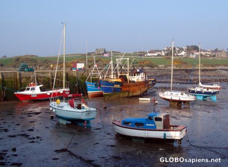 Postcard The tide is out