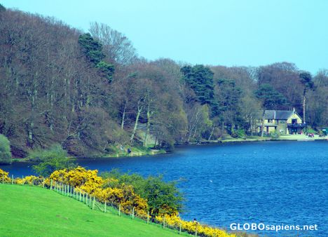 Postcard Cumbrian Lake in Spring