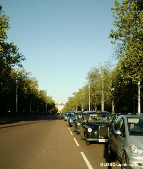 Postcard Pall Mall
