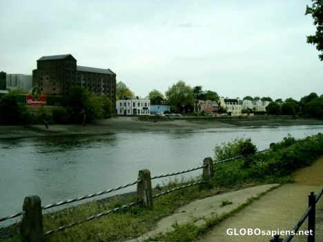 Postcard On the River Thames