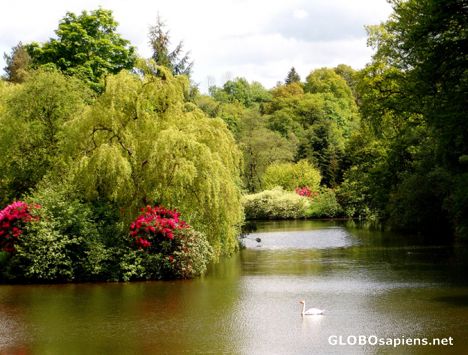 Postcard Springtime in Staffordshire, England