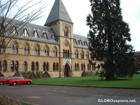 Postcard University Museum, Parks road, Oxford