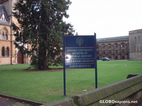 Postcard Oxford university Museum, Parks Road, Oxford