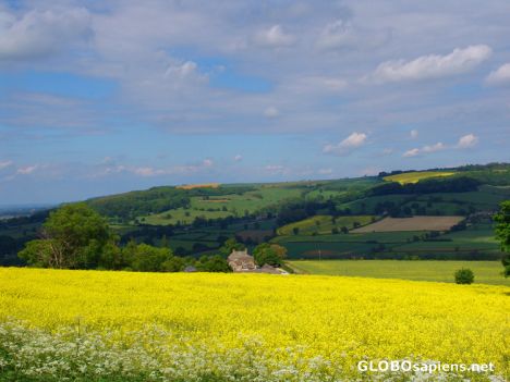 Postcard Cotswold Summer Landscape
