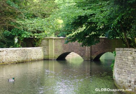 Postcard Cotswolds Village Stream