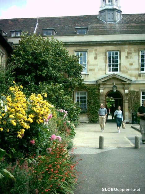 Postcard Trinity Hall