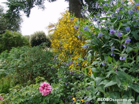Postcard Hidcote Manor National Trust Gardens 10
