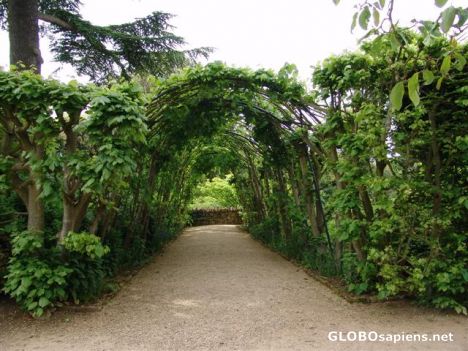 Postcard Hidcote Manor National Trust Gardens 11