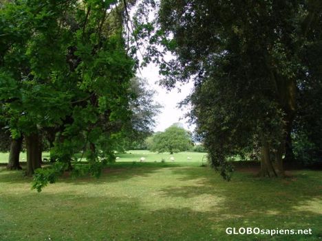 Postcard Hidcote Manor National Trust Gardens 12