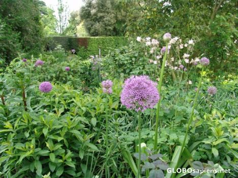Postcard Hidcote Manor National Trust Gardens 13