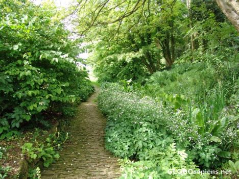 Postcard Hidcote Manor National Trust Gardens 15