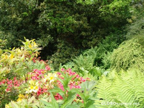 Postcard Hidcote Manor National Trust Gardens 16