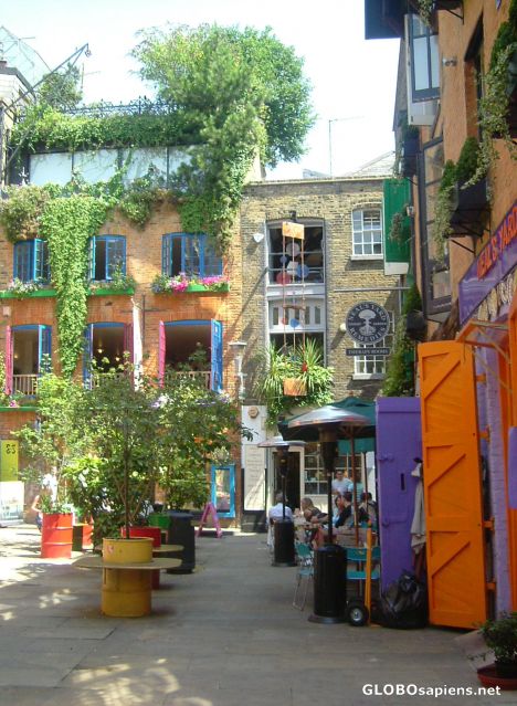 Postcard Colourful Neal's Yard