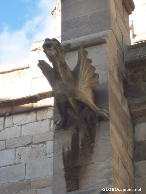 Postcard Gargoyle