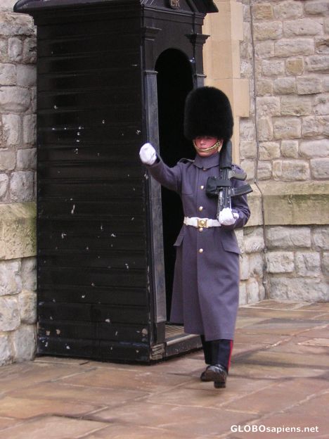 Postcard Guard...having a wander!!