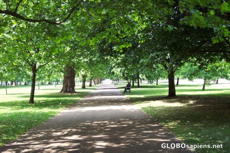 Postcard hyde park