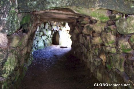 Postcard Carn Euny - fogue