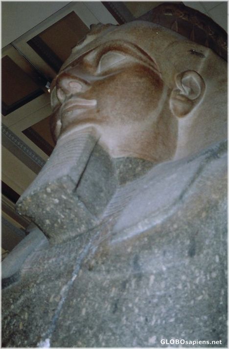 Postcard Colossal Bust of Ramesses 2 in British Museum