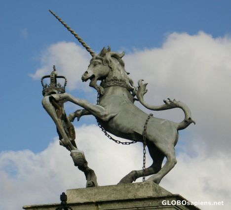 Postcard Symbol of Scotland