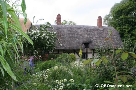 Postcard Anne Hathaway's Cottage