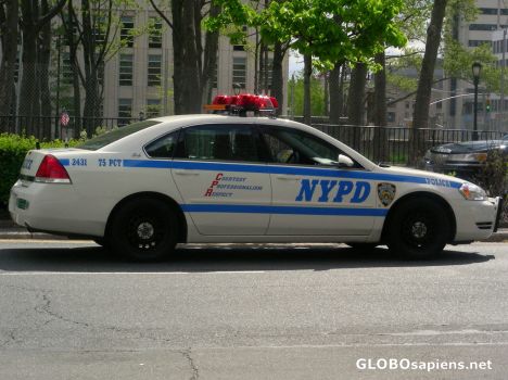 Postcard NYPD
