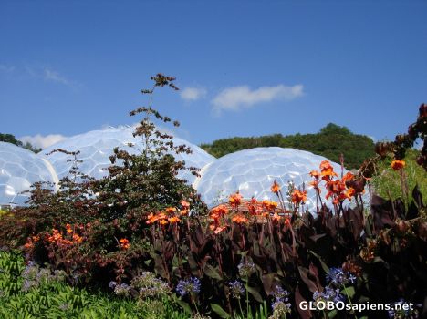 Postcard The green house