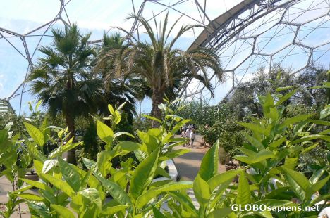 Postcard Inside the Biomes