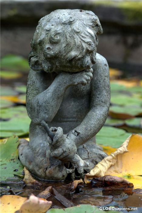Postcard Levens Garden Detail