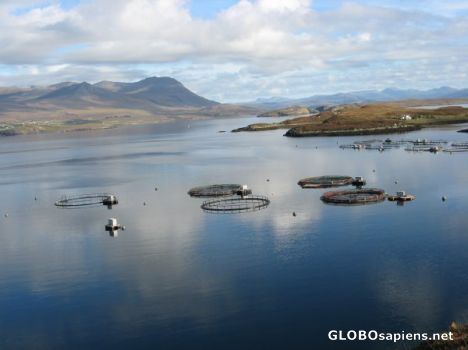 Postcard Fish farm, Tanera Mor