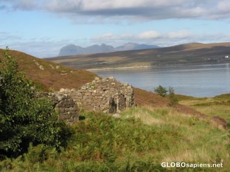 Postcard On Tanera Mor