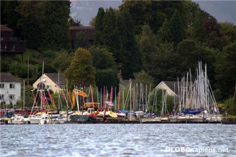 Postcard Port at Derwent Lake